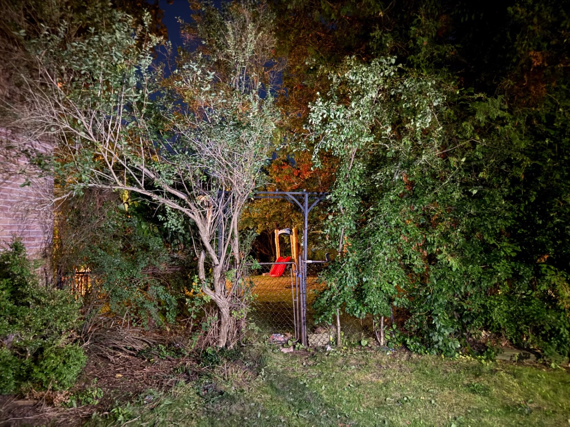 Same backyard with shrubs cleared and branches removed